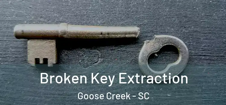  Broken Key Extraction Goose Creek - SC