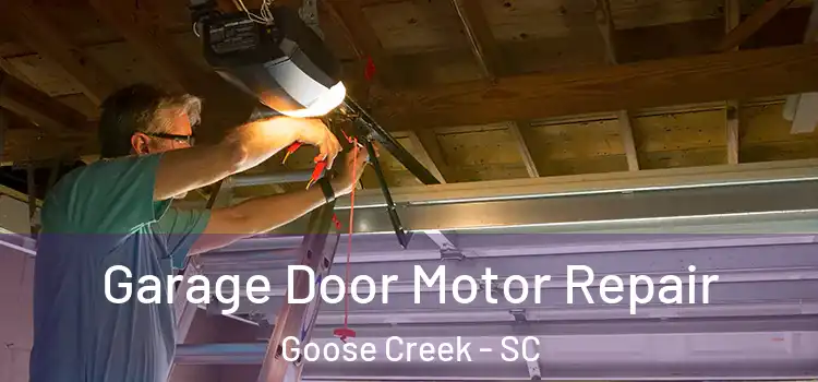  Garage Door Motor Repair Goose Creek - SC