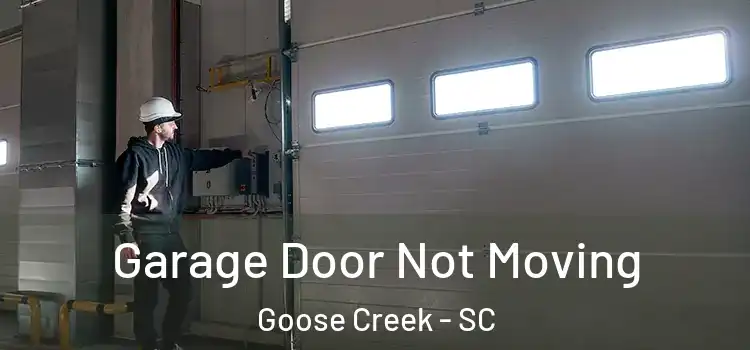  Garage Door Not Moving Goose Creek - SC