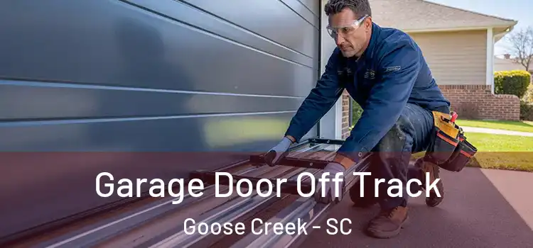  Garage Door Off Track Goose Creek - SC