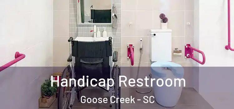 Handicap Restroom Goose Creek - SC